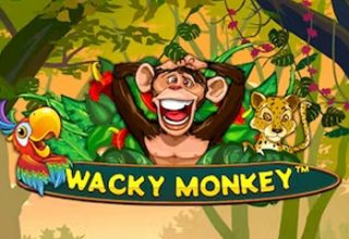 Wacky Monkey